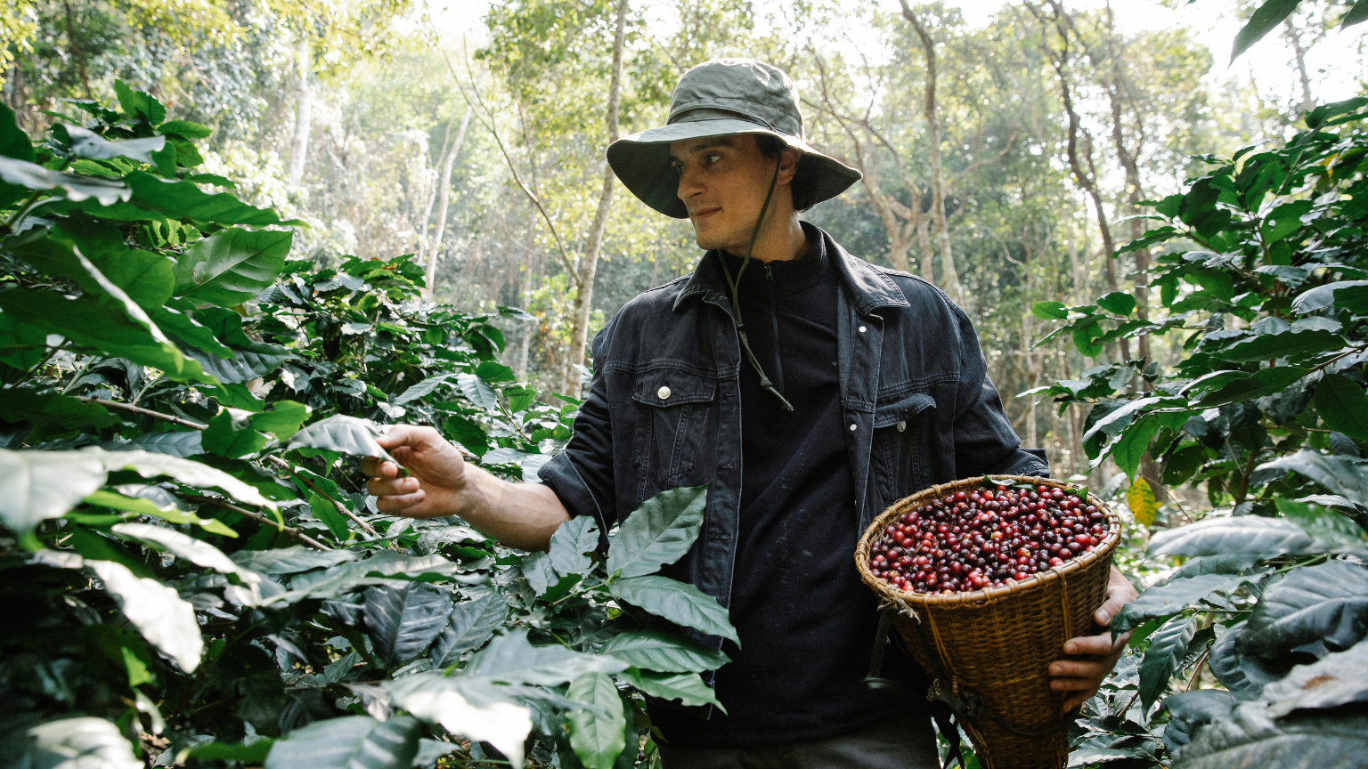 7 beneficios del café de especialidad que no conocías