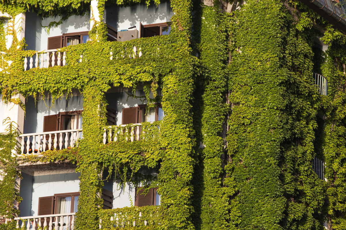 Cómo contribuyen los aparejadores a la sostenibilidad en la arquitectura verde