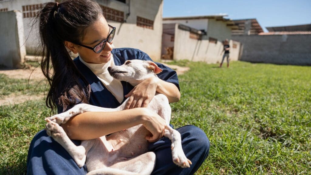 Persona haciendo una donación a una fundación protectora de animales, ayudando al cuidado y bienestar de perros y gatos en un refugio.