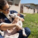 Persona haciendo una donación a una fundación protectora de animales, ayudando al cuidado y bienestar de perros y gatos en un refugio.