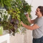 Jardín vertical decorando una pared interior en casa. Diseño sencillo y natural para optimizar espacios pequeños con plantas verdes.