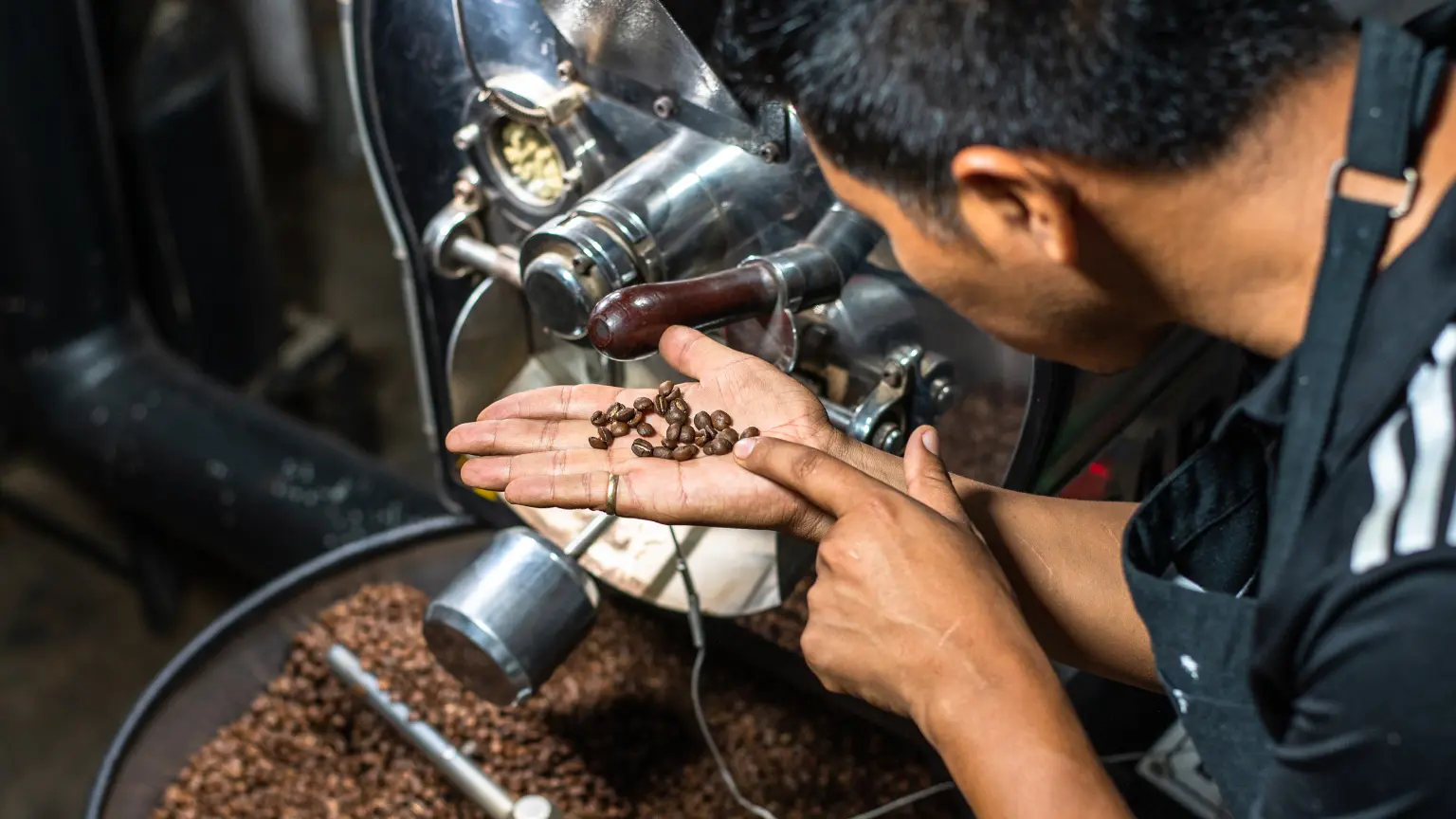 Reconoce un café recién tostado como un experto en 10 pasos.