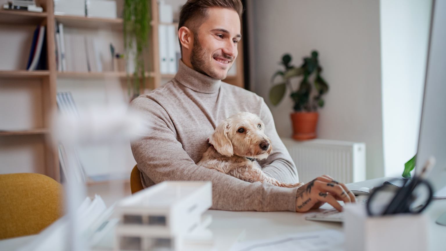 Beneficios de la Intervención Asistida con Animales para Empresas.