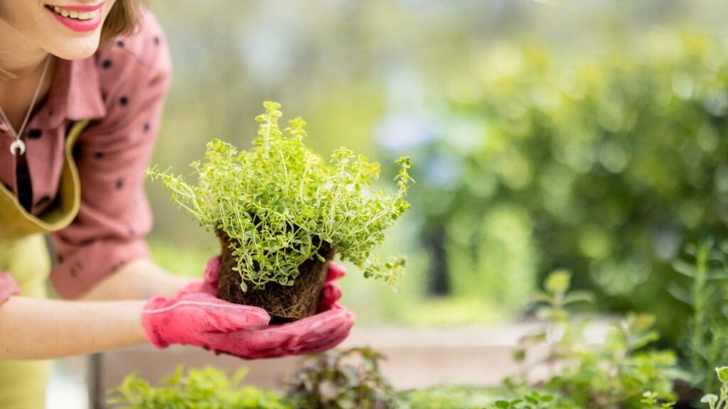 Diseño de jardín sostenible con plantas autóctonas, césped de bajo mantenimiento y sistema de riego eficiente en un entorno ecológico.