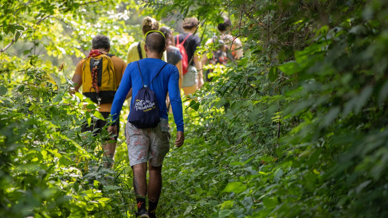 Guía completa de senderismo: Consejos y mejores excursiones