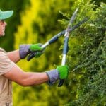 Jardinero realizando poda de árbol con herramientas profesionales en un jardín, promoviendo la salud y seguridad de los árboles.