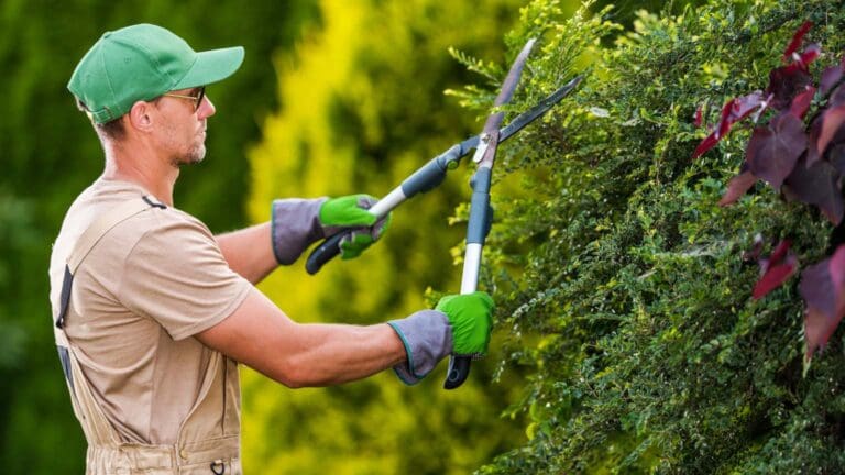 Jardinero realizando poda de árbol con herramientas profesionales en un jardín, promoviendo la salud y seguridad de los árboles.