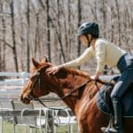 Persona aprendiendo equitación. Jinete principiante montando a caballo con casco de seguridad en un entorno natural durante una clase de equitación.