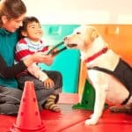 Personas de diferentes edades interactuando con perros en un entorno terapéutico, destacando los beneficios emocionales y físicos de la terapia asistida con animales.