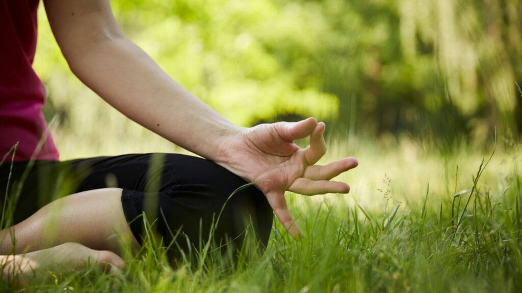 Persona practicando yoga en posición de meditación al aire libre, rodeada de naturaleza, simbolizando bienestar físico y mental para todas las etapas de la vida.