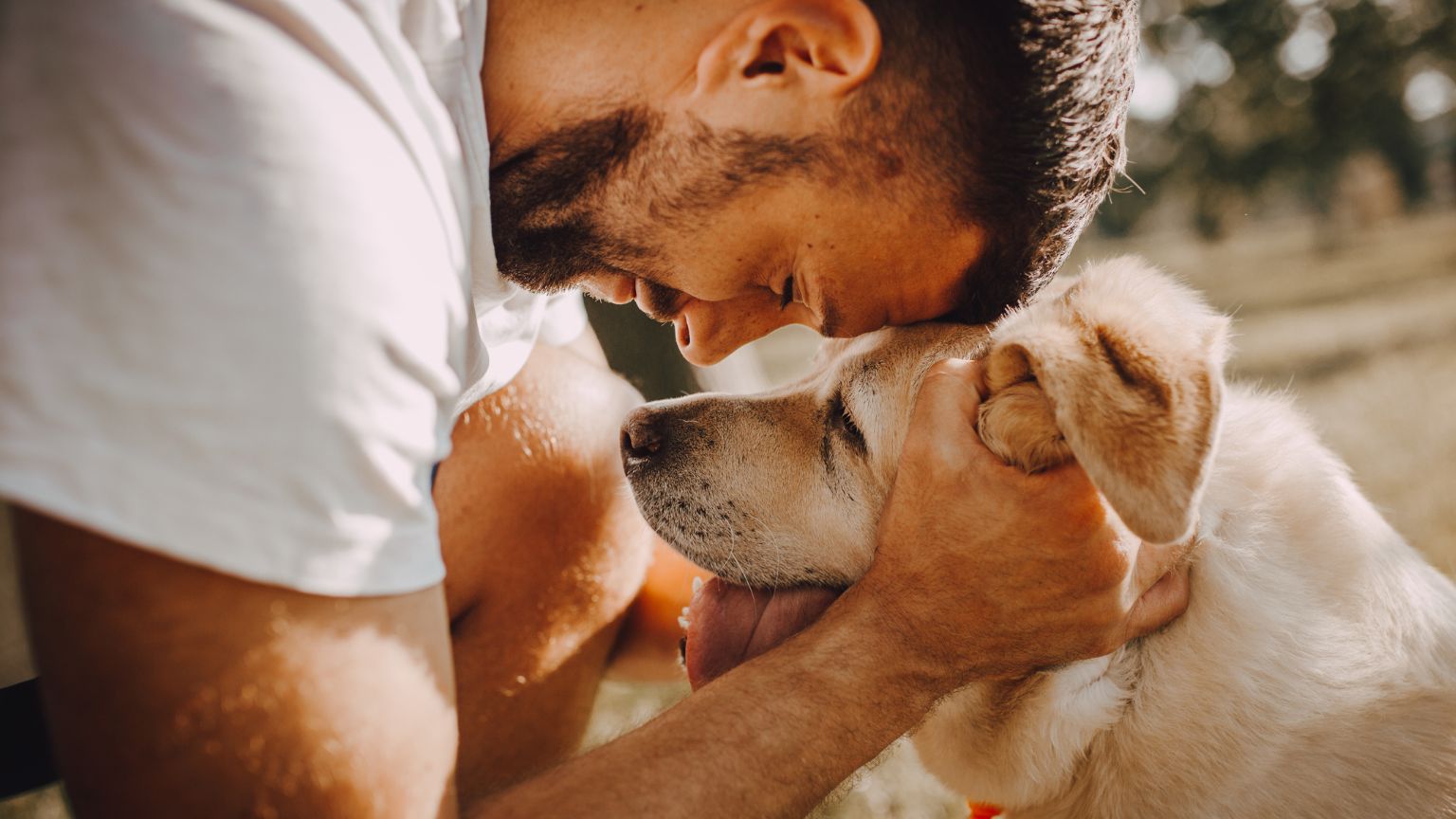 Descubre los beneficios de los collares ajustables para tu perro.