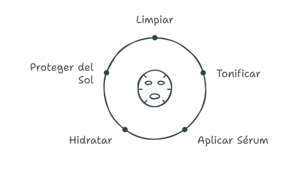 Ciclo de rutina de cuidado de la piel diario