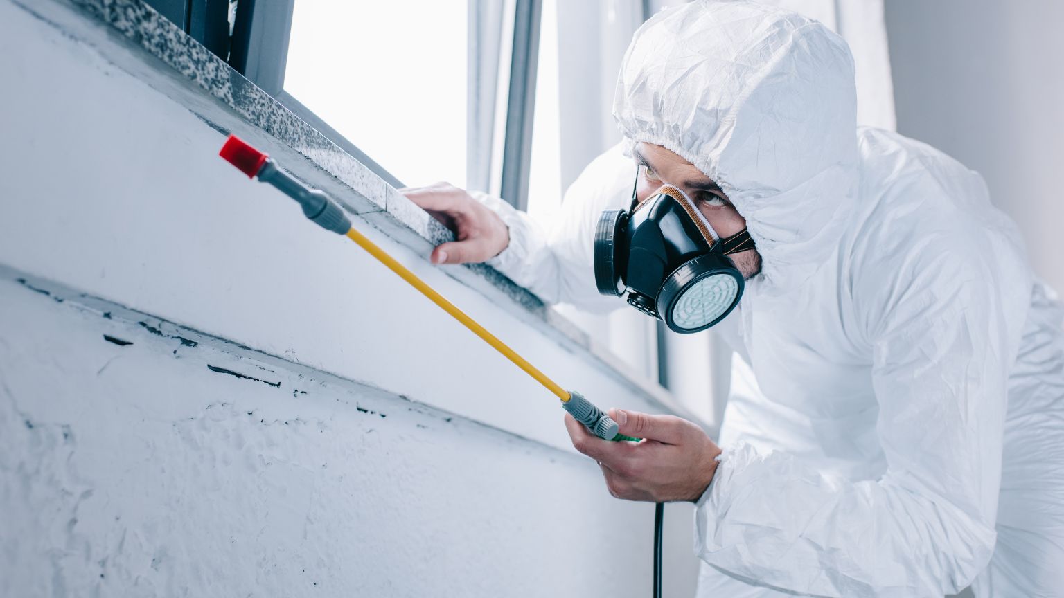 Técnico profesional de control de plagas con equipo de protección aplicando desinfectante en un alféizar para garantizar un entorno seguro y libre de plagas.