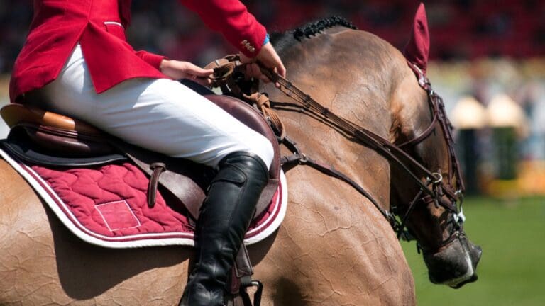 Jinete cuidando botas de equitación y ropa ecuestre para prolongar su vida útil.