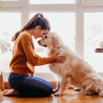 errores al adiestrar un cachorro