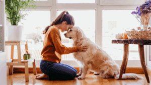 errores al adiestrar un cachorro