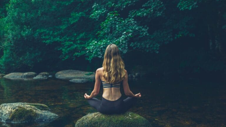 Guía para un retiro de meditación en plena naturaleza salvaje.