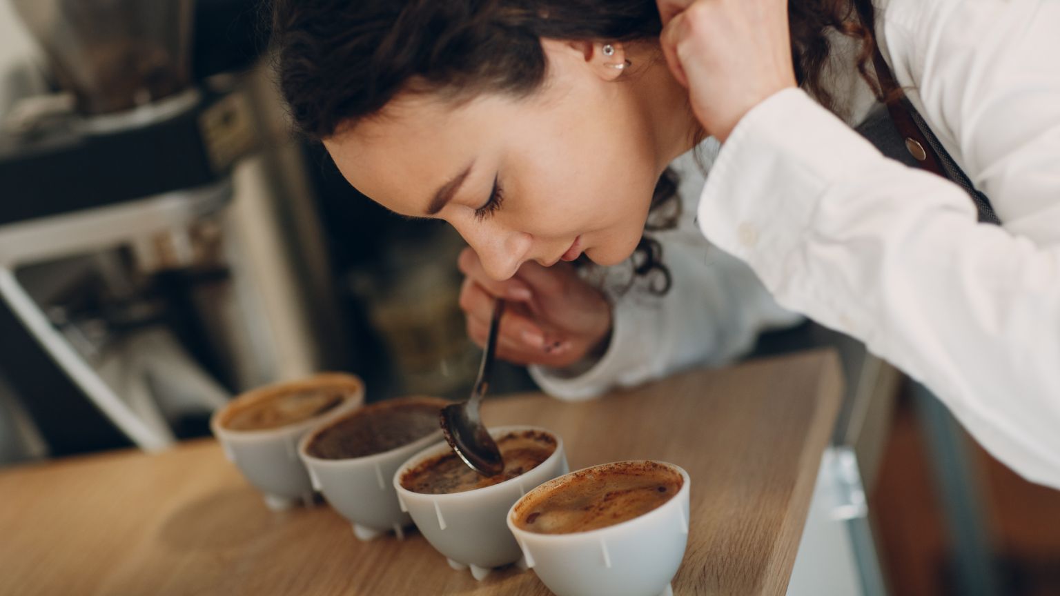 Variedades de café arábica con perfiles de sabor para todos los gustos.