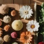 flores preservadas vs flores frescas decoracion comparativa floral