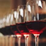 Copas de vino tinto alineadas en cata profesional, resultado de fermentación controlada en depósitos acero inoxidable