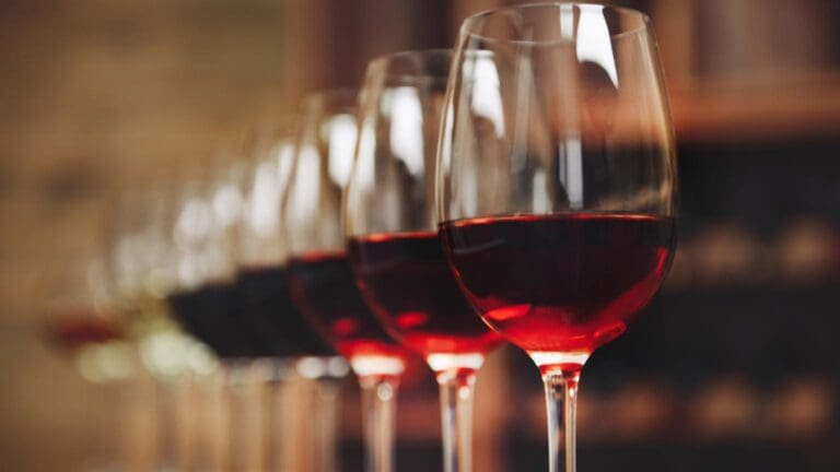 Copas de vino tinto alineadas en cata profesional, resultado de fermentación controlada en depósitos acero inoxidable