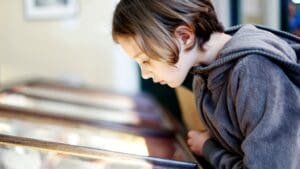 Niño observando con atención una vitrina en un museo educativo