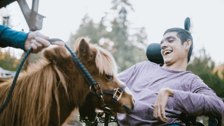¿Por qué elegir la terapia con caballos para un equilibrio emocional?