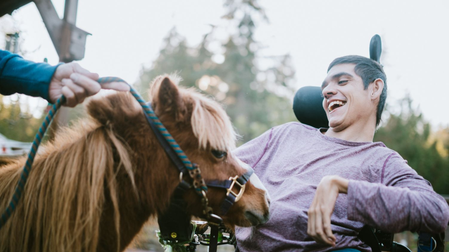 ¿Por qué elegir la terapia con caballos para un equilibrio emocional?