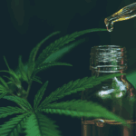 Botella de aceites con cbd y gotas de cannabis natural