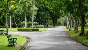 Parque en Valencia para establecer una rutina que mejore la salud mental, según psicólogos.