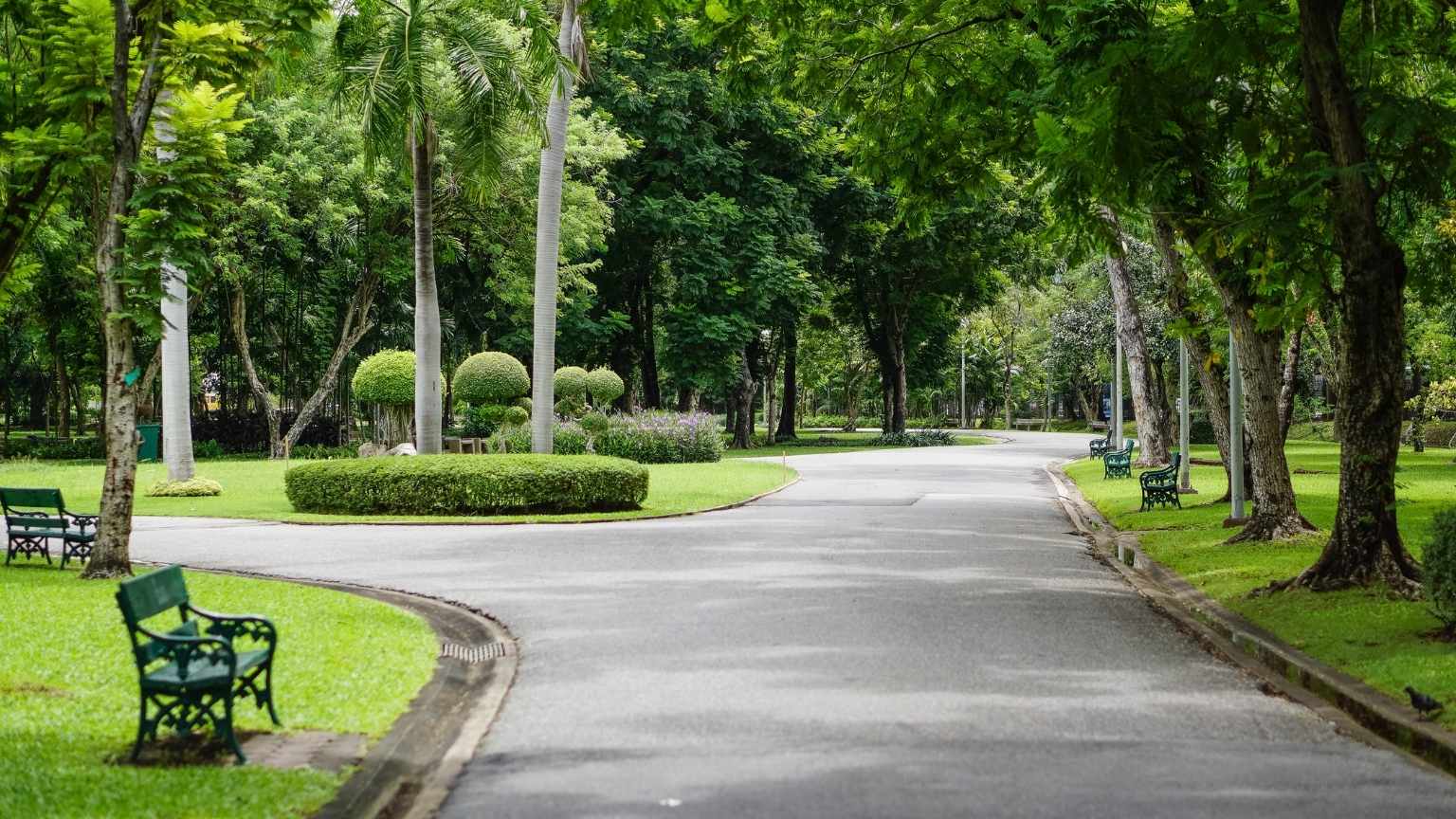 Parque en Valencia para establecer una rutina que mejore la salud mental, según psicólogos.