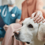 Veterinario explicando servicios de oncología a familia de un perro