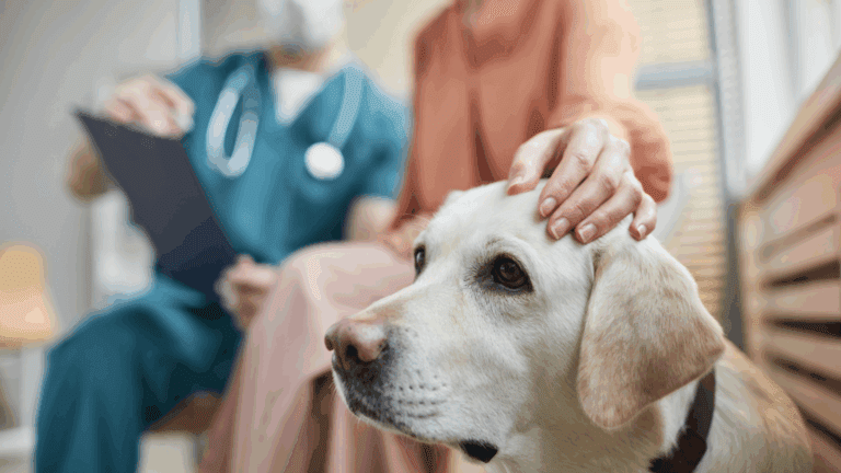 Veterinario explicando servicios de oncología a familia de un perro