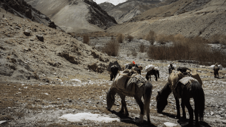 Rutas con burros para familias que buscan algo diferente