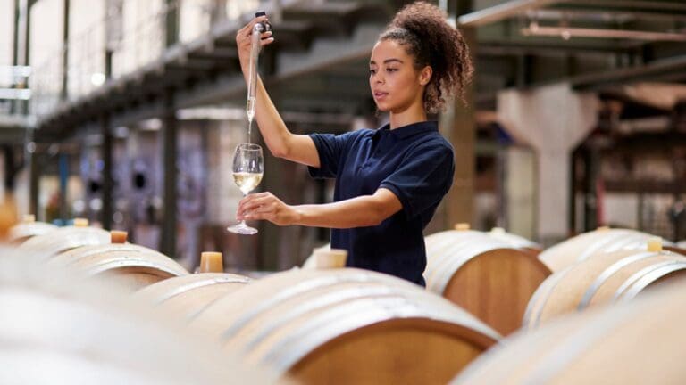 ¿Buscas vinos diferentes? Descubre el arte de las bodegas familiares.