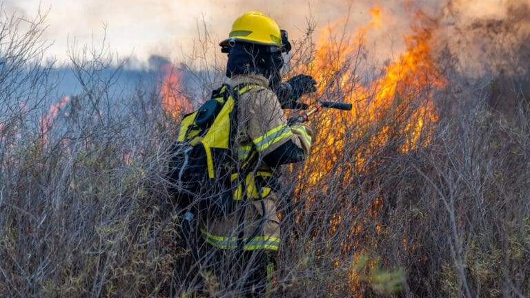 ¿Cómo elegir el mejor equipamiento para incendios forestales?