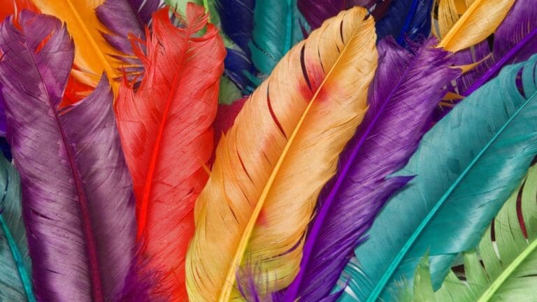 ¿Por qué la moda sostenible con plumas es la nueva tendencia?