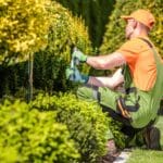 Diseño De Jardines.
