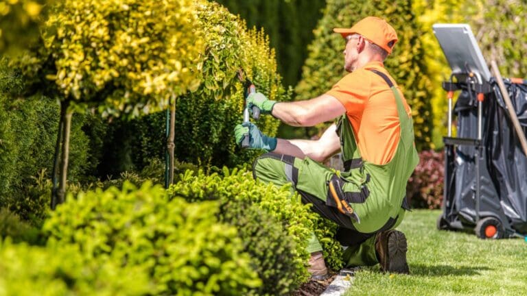 Diseño De Jardines.