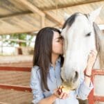¿Tu caballo rinde menos? Revisa estos aspectos de su salud