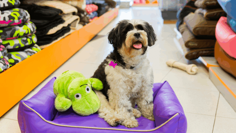 ¿Qué tener en cuenta al buscar una tienda de camas para perros?