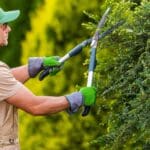 ¿Quieres crear un jardín único y duradero?
