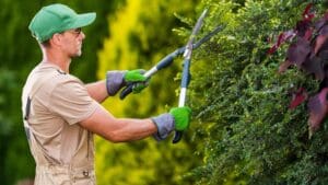 ¿Quieres crear un jardín único y duradero?