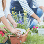 ¿Cómo cultivar flores en casa sin ser experto?