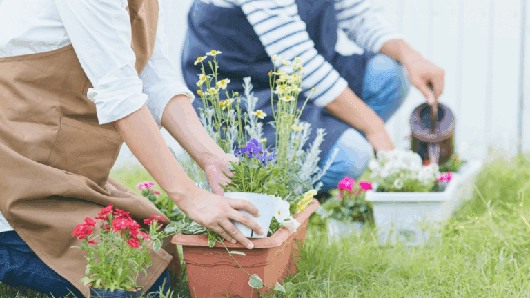 ¿Cómo cultivar flores en casa sin ser experto?
