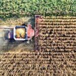 ista de una plantación de olivos moderna con líneas rectas, maquinaria agrícola y diseño técnico optimizado para una producción rentable.