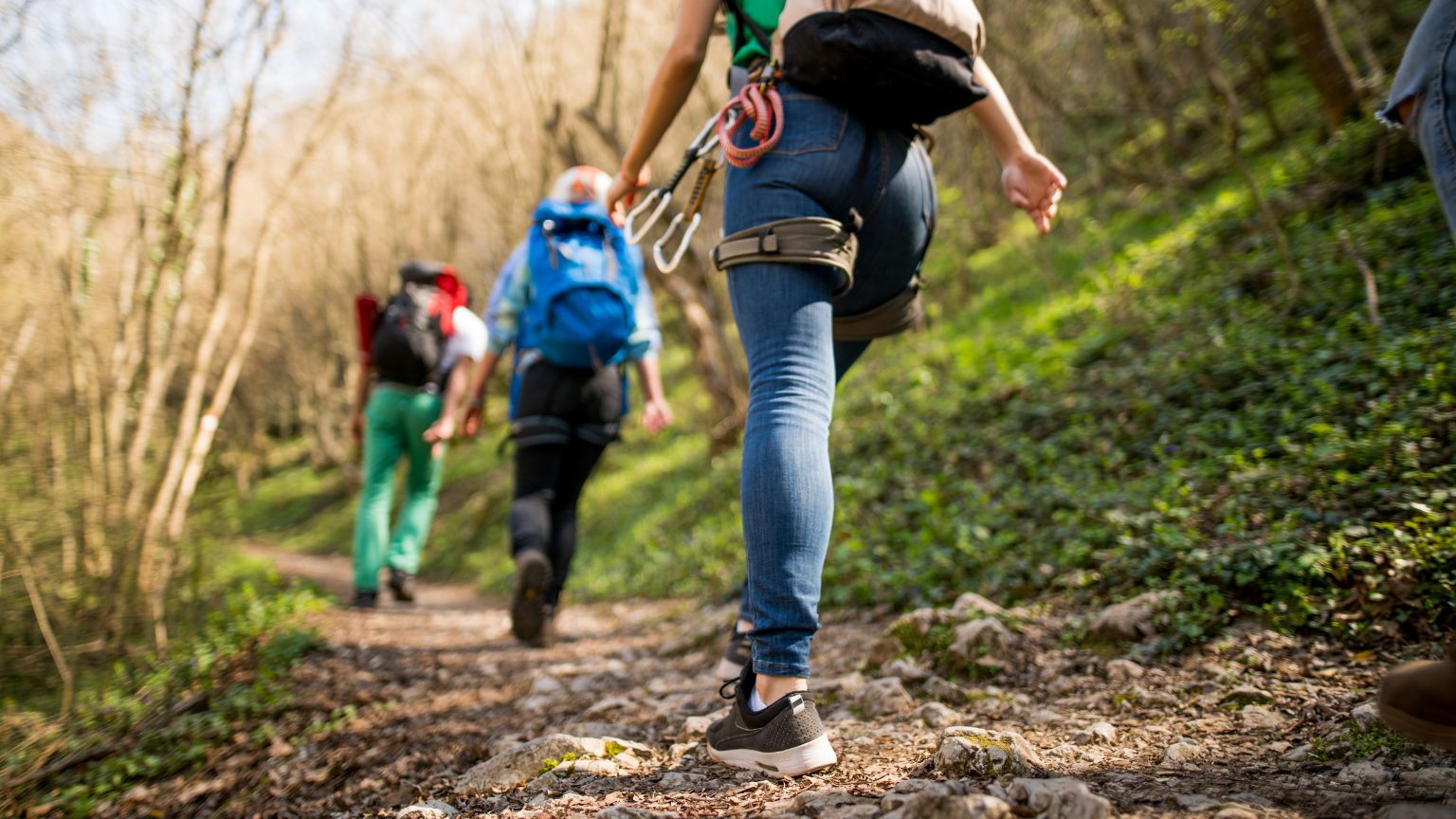 Grupo de personas participando en actividades rurales al aire libre para reconectar con la naturaleza en un entorno sostenible