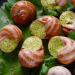 ¿Por qué el caracol gourmet está conquistando la alta cocina?