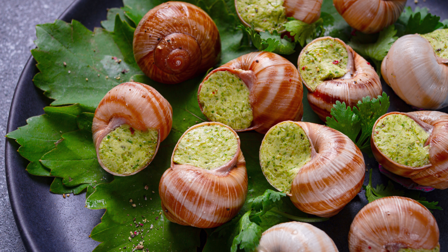 ¿Por qué el caracol gourmet está conquistando la alta cocina?