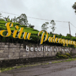 Instalación profesional de rótulo como parte de servicios de rotulación